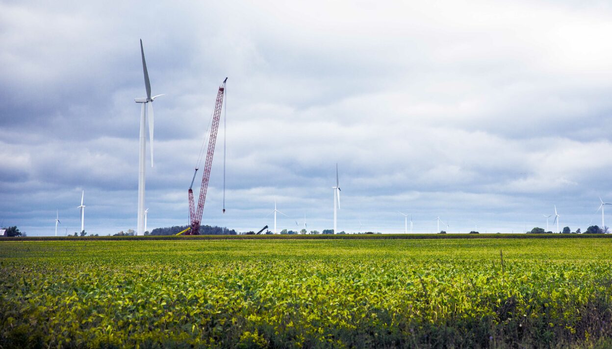 Echo Wind Crops and Turbines