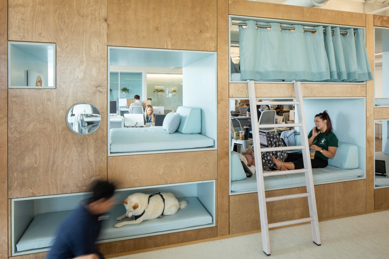 Employees and dogs enjoy cubbie spaces at Bark + Co. after the commercial interiors construction work