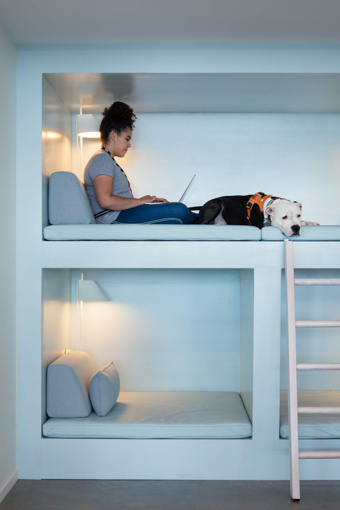 Woman working on laptop in cubbie with dog following commercial interiors construction work
