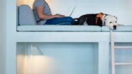 Woman working on laptop in cubbie with dog following commercial interiors construction work