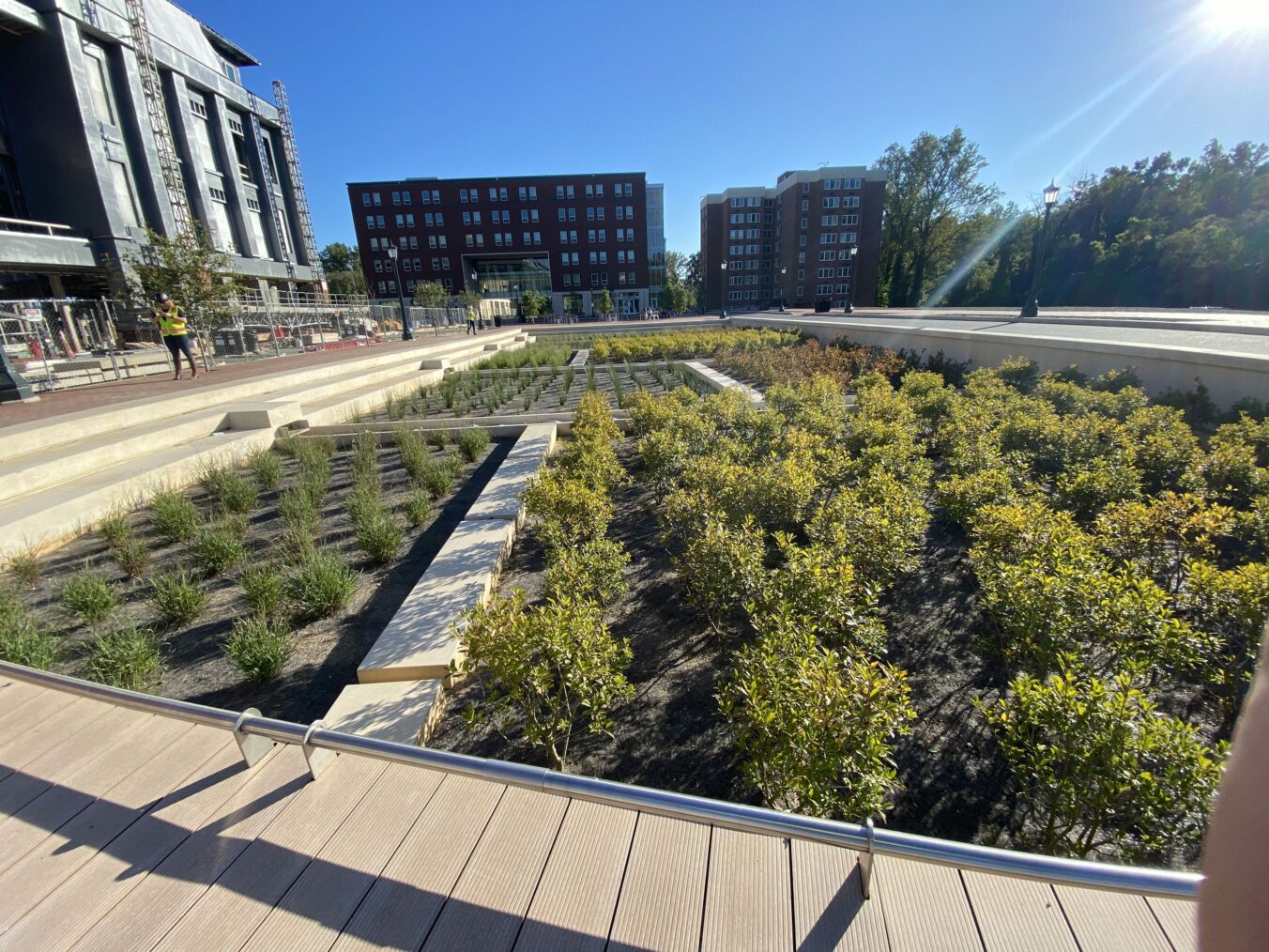 Brandon Avenue Green Street Infrastructure Biofilters filled with plants for Stormwater Management
