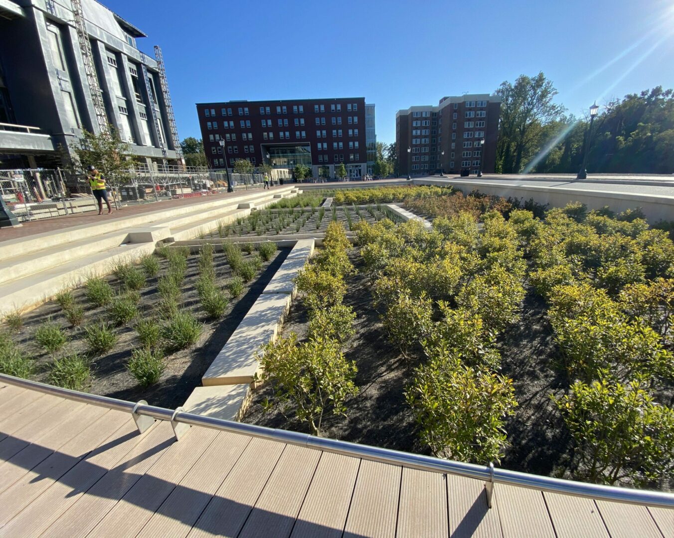 Brandon Avenue Green Street Infrastructure Biofilters filled with plants for Stormwater Management