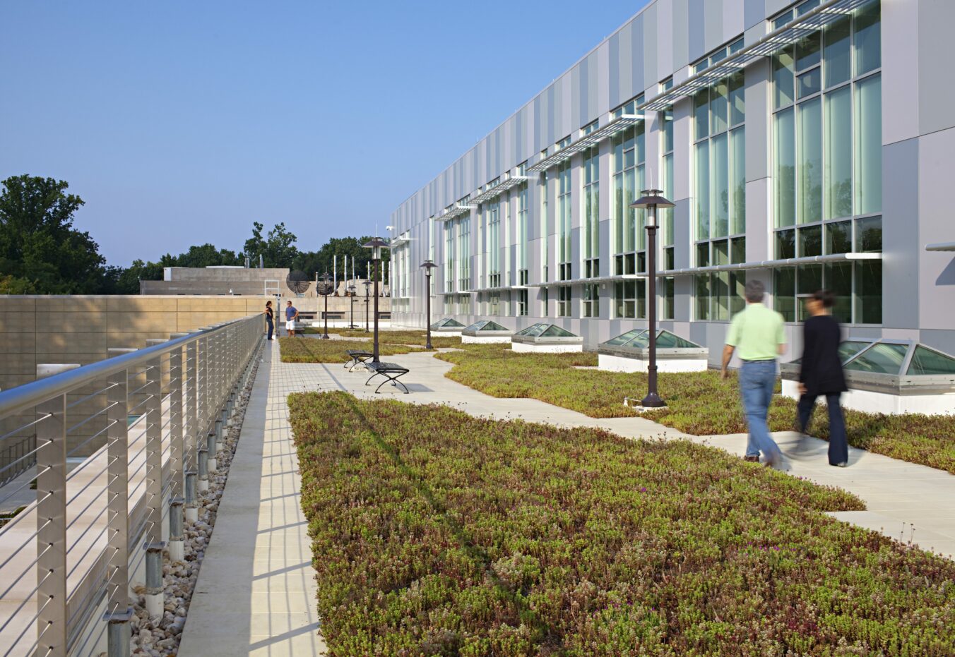 Two people walking along a path on the building's Green Roof