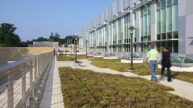 Two people walking along a path on the building's Green Roof