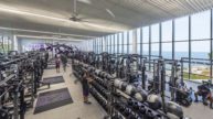 Free weights and exercise equipment